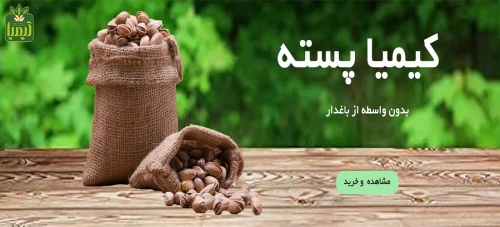 کیمیا پسته خشکبار kimiapeste