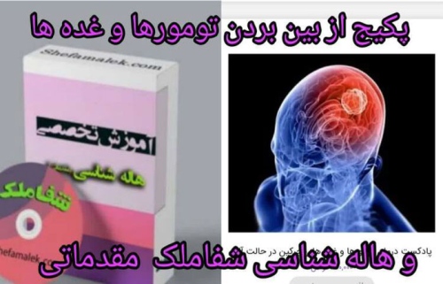 شفا ملک دانلود آموزش انرژی و طب مکمل shefamalek