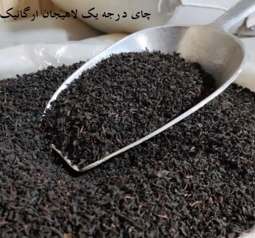 قیمت چای زرین لاهیجان Lahijan tea