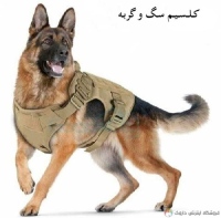 مکمل غذای سگ و گربه