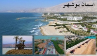 فروشگاه های گناوه, دیلم, جم, عسلویه, دیر ... بوشهر