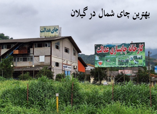 چای عدالت chayeedalat