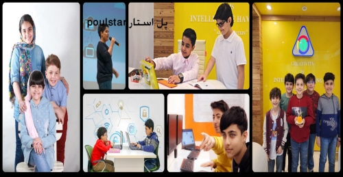 موسسه بین المللی پل استار poulstar