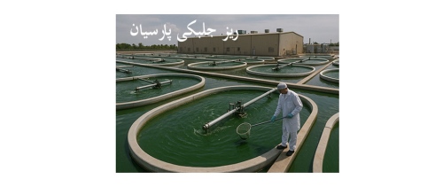 ریز جلبکی پارسیان rizjolbakparsian