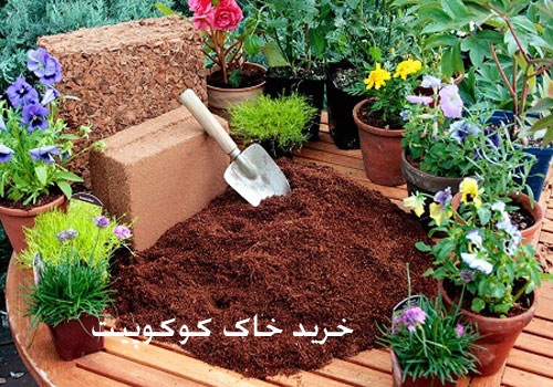 خرید خاک کوکوپیت