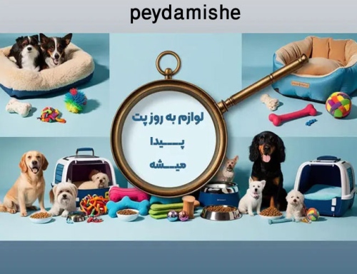 پیدا میشه peydamishe الکترونیکی, خانگی