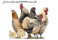 فارم سان farmsun فروش لوازم مرغداری خانگی