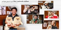 خرید اینترنتی حیوانات Buy animals online