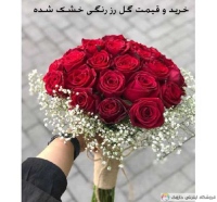 خرید و قیمت گل رز رنگی خشک شده