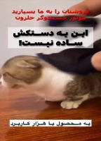 دستکش پرزگیر موی حیوانات